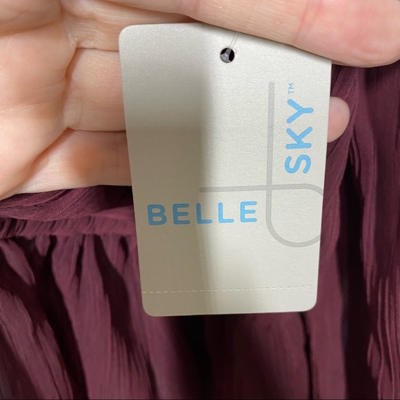 Belle Sky Sheer long sleeve peplum blouse NWT - Picture 8 of 9